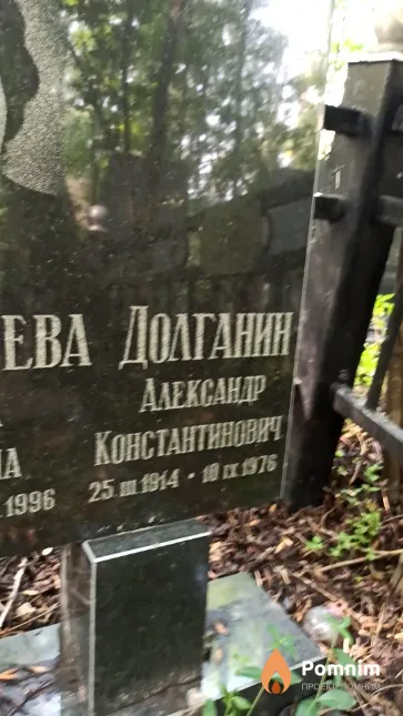 Долганин Александр Константинович