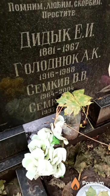 Голоднюк А. К.