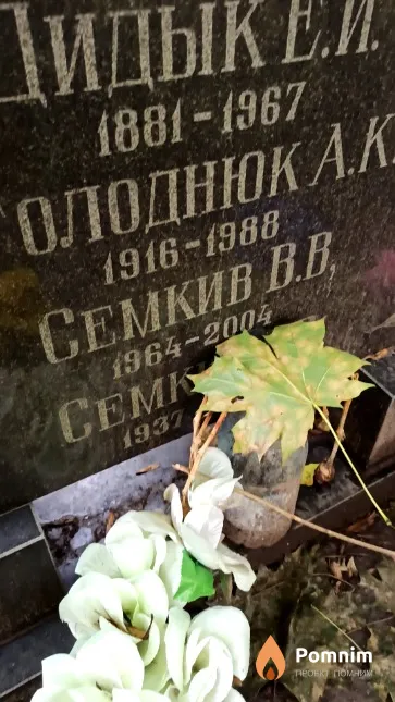 Семкив В В