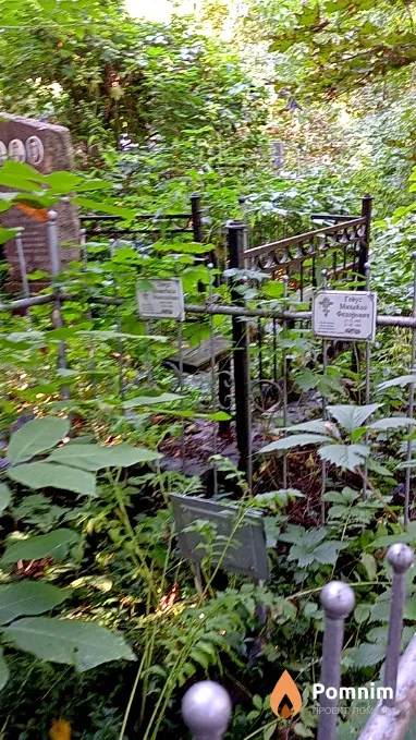 Гевус Анастасия Николаевна