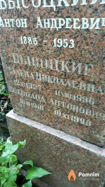 Высоцкая Юлена Николаевна