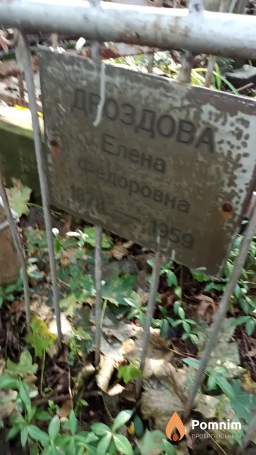 Дроздова Елена Федоровна