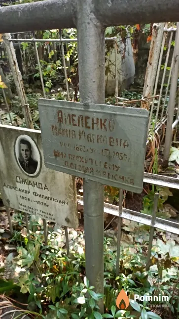 Амеленко Мария Марковна