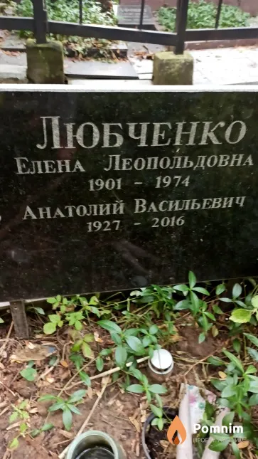 Любченко Анатолий Васильевич