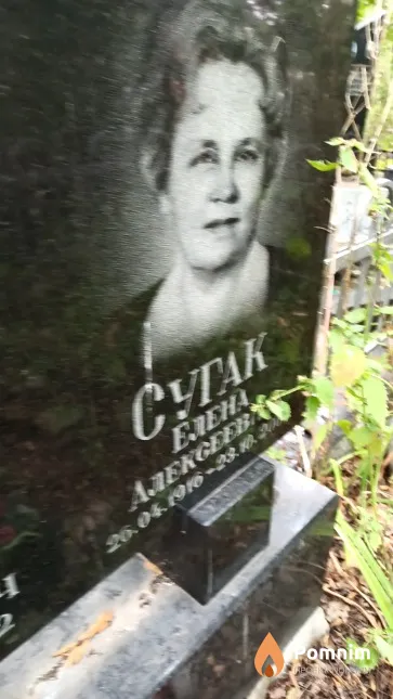 Сугак Елена Алексеевна