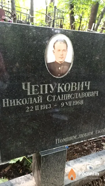 Чепукович Николай Станиславович