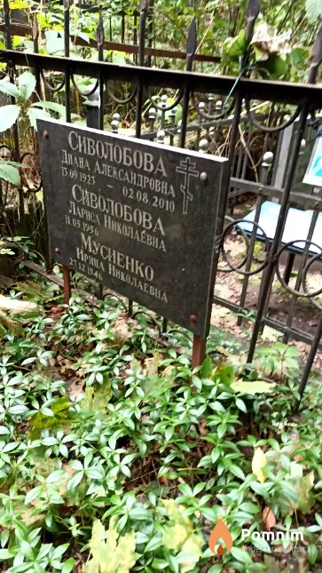 Сиволобова Диана Александровна