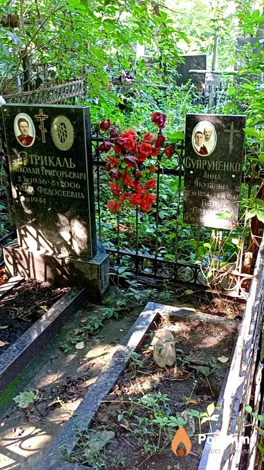 Стрикалб Николай Григорьевич