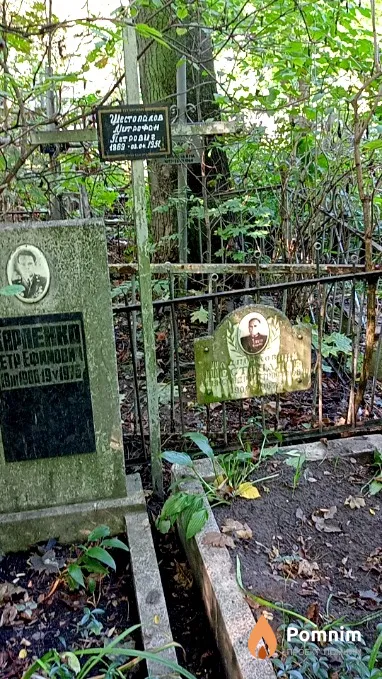 Шестопалов Александр Митрофанович