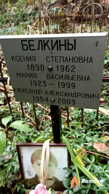 Белкин Александр Александрович