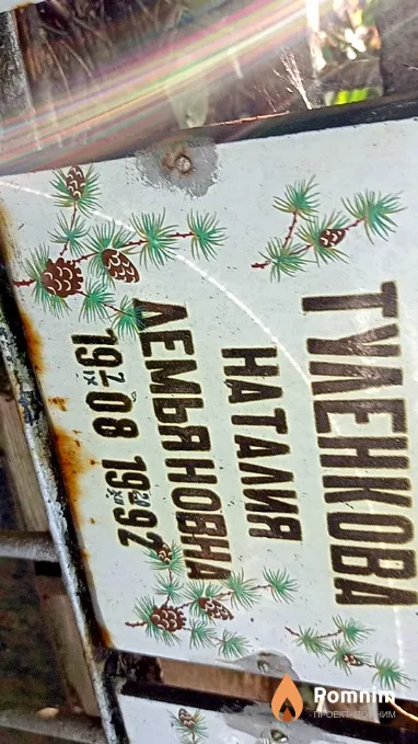 Туленкова Наталия Демьяновна