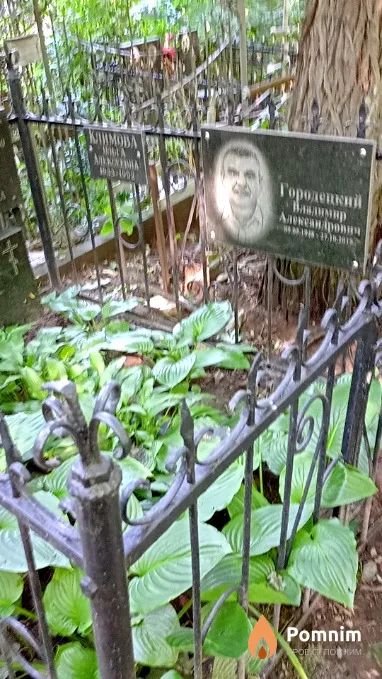 Городецкий Владимир Александрович