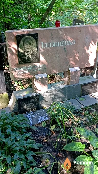 Илляшенко Николай Данилович