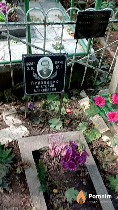Приходько Анатолий Алексеевич