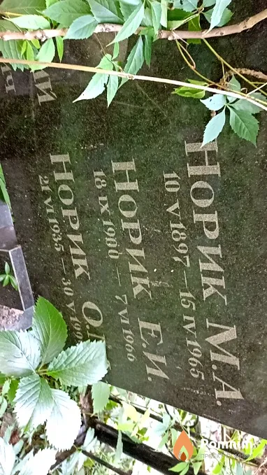 Норик Е И