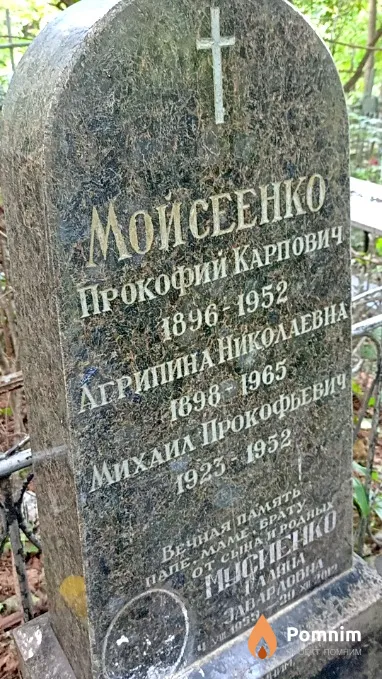 Мойсеенко Агрипина Николаевна