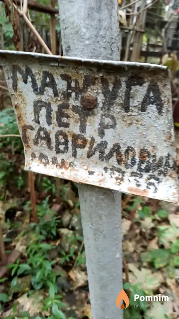 Мажуга Петр Гаврилович