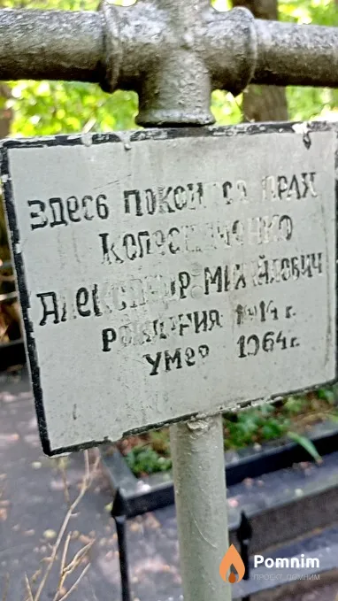Колесниченко Александр Михайлович