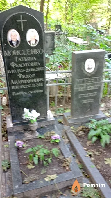 Моисеенко Татьяна Федотовна