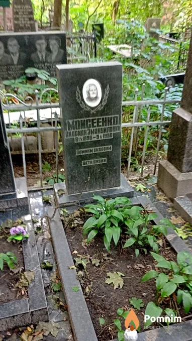 Моисеенко Андриан Эмануилович