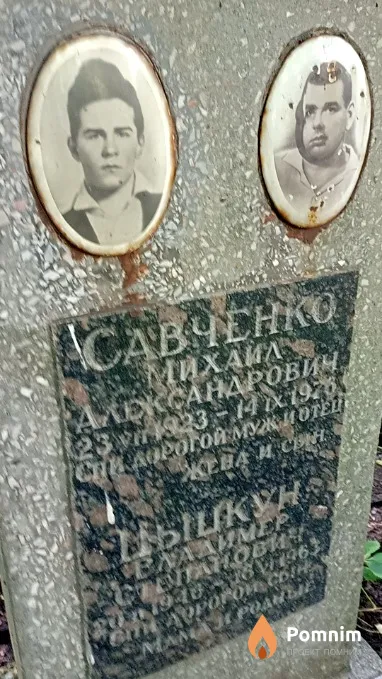 Цыцкун Владимир Степанович