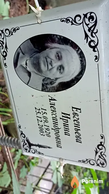Евгеньева Ирина Александровна