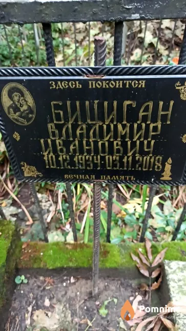 Бициган Владимир Иванович