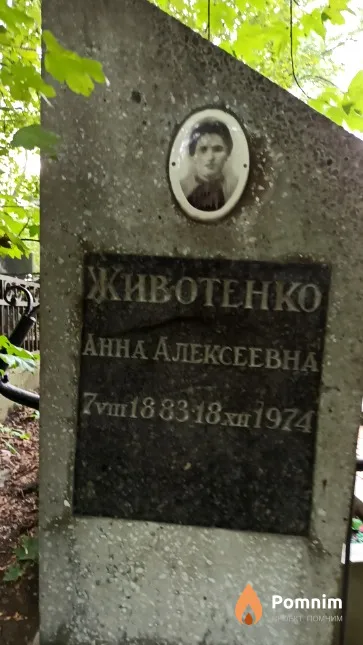 Животенко Анна Алексеевна