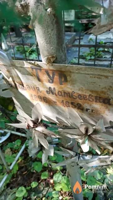 Тур Клавдия Матвеевна
