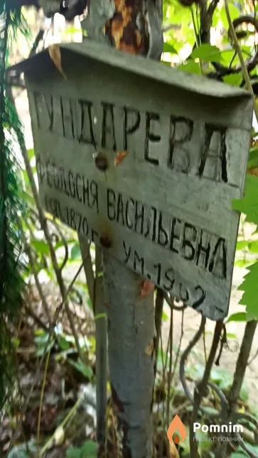 Гундарева Феодосия Васильевна