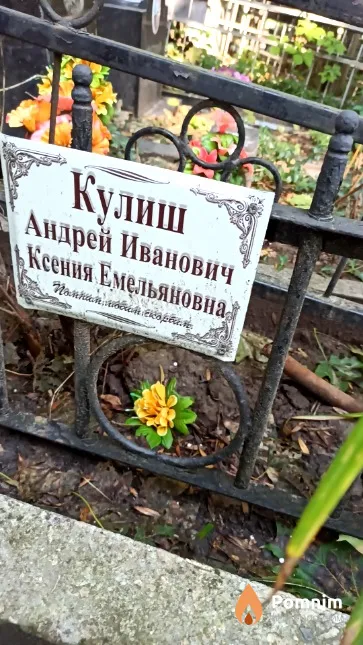 Кулиш Андрей Иванович