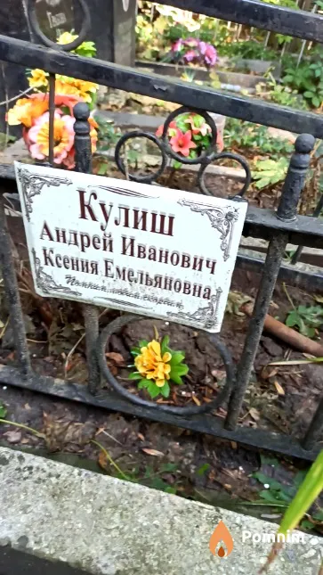 Кулиш Ксения Емельяновна