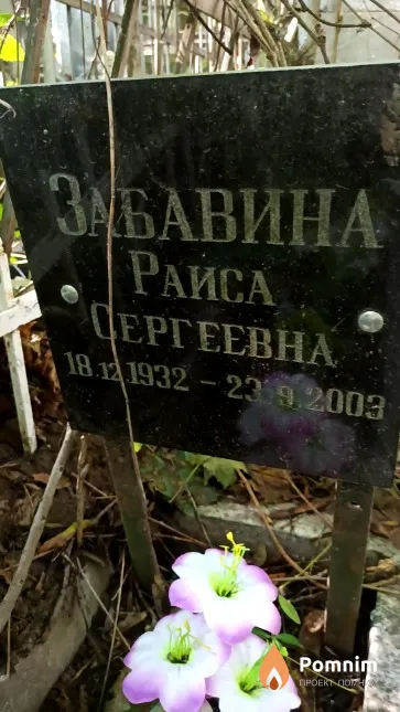 Забавина Раиса Сергеевна