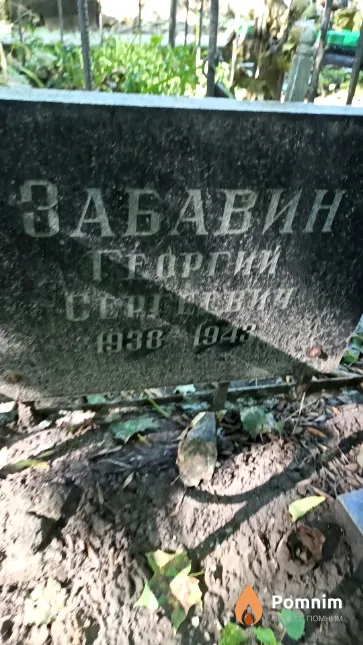 Забавин Георгий Сергеевич