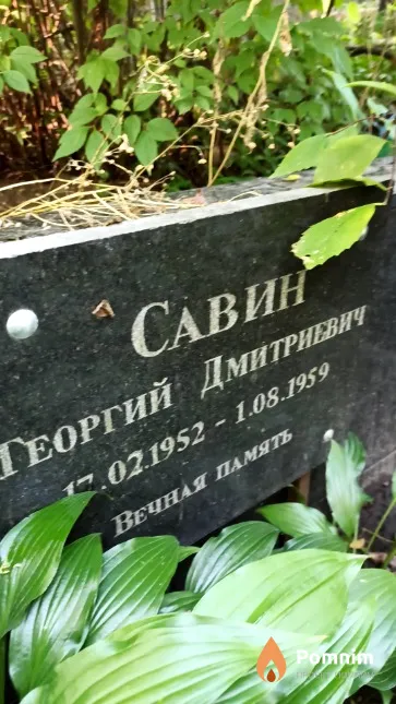 Савин Георгий Дмитриевич