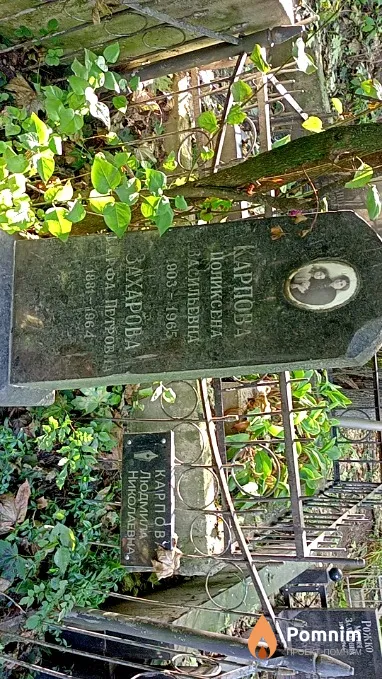 Карпова Людмила Николаевна