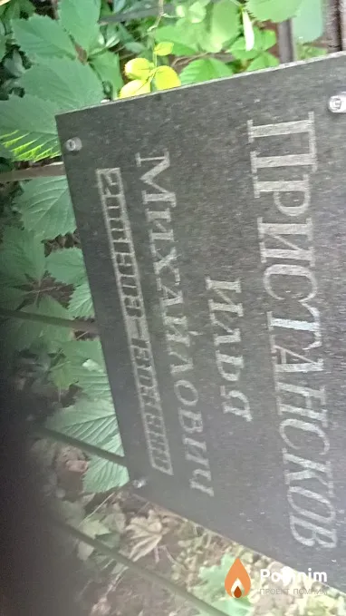 Пристансков Илья Михайлович