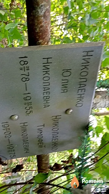 Николаенко Юлия Николаенко