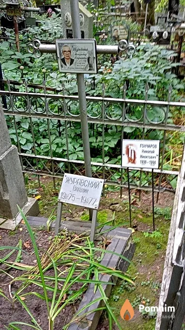 Журавский Владимир Генрихович