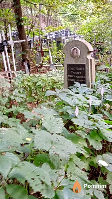 Соколова Тамара Михайловна