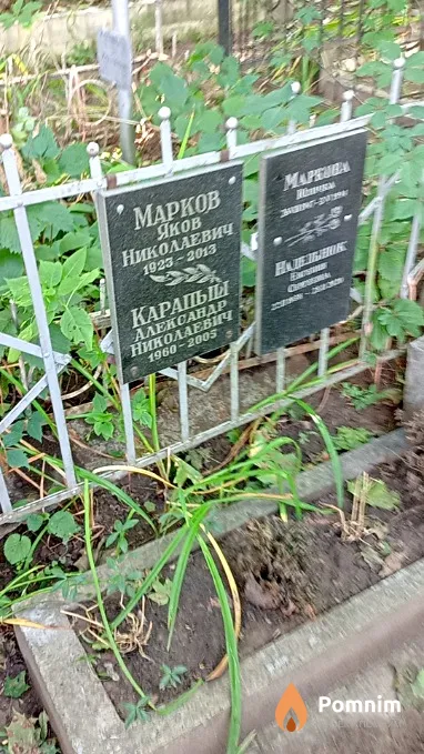 Надельнюк Евгения Сергей