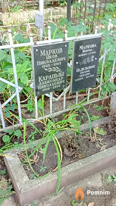 Карапыш Александр Николаевич