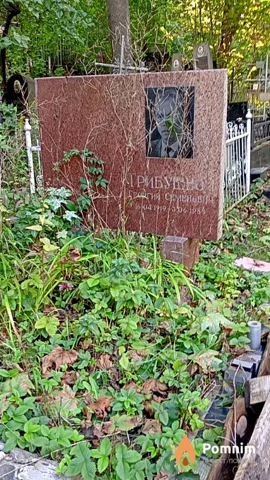 Трибушной Георгий Семенович