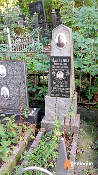 Малахова Анастасия Васильевна
