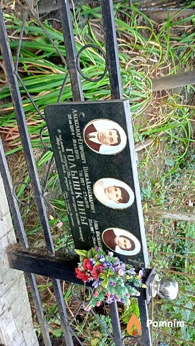 Голышкин Александр Егорович