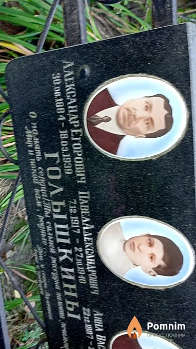 Голышкина Павел Александр