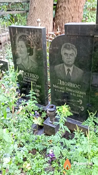 Двойнос Михаил Николаевич
