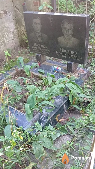 Носенко Татьяна Ивановна