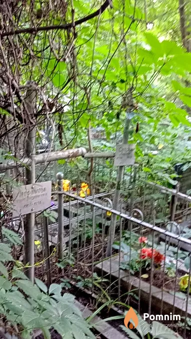 Трофимова Евгения Владимировна