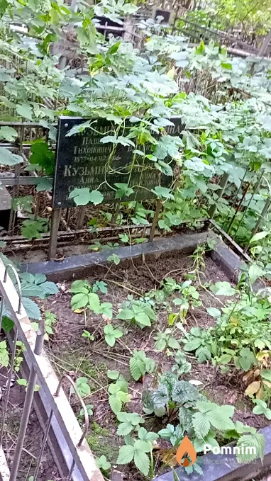 Кузьмин Павел Тихонович
